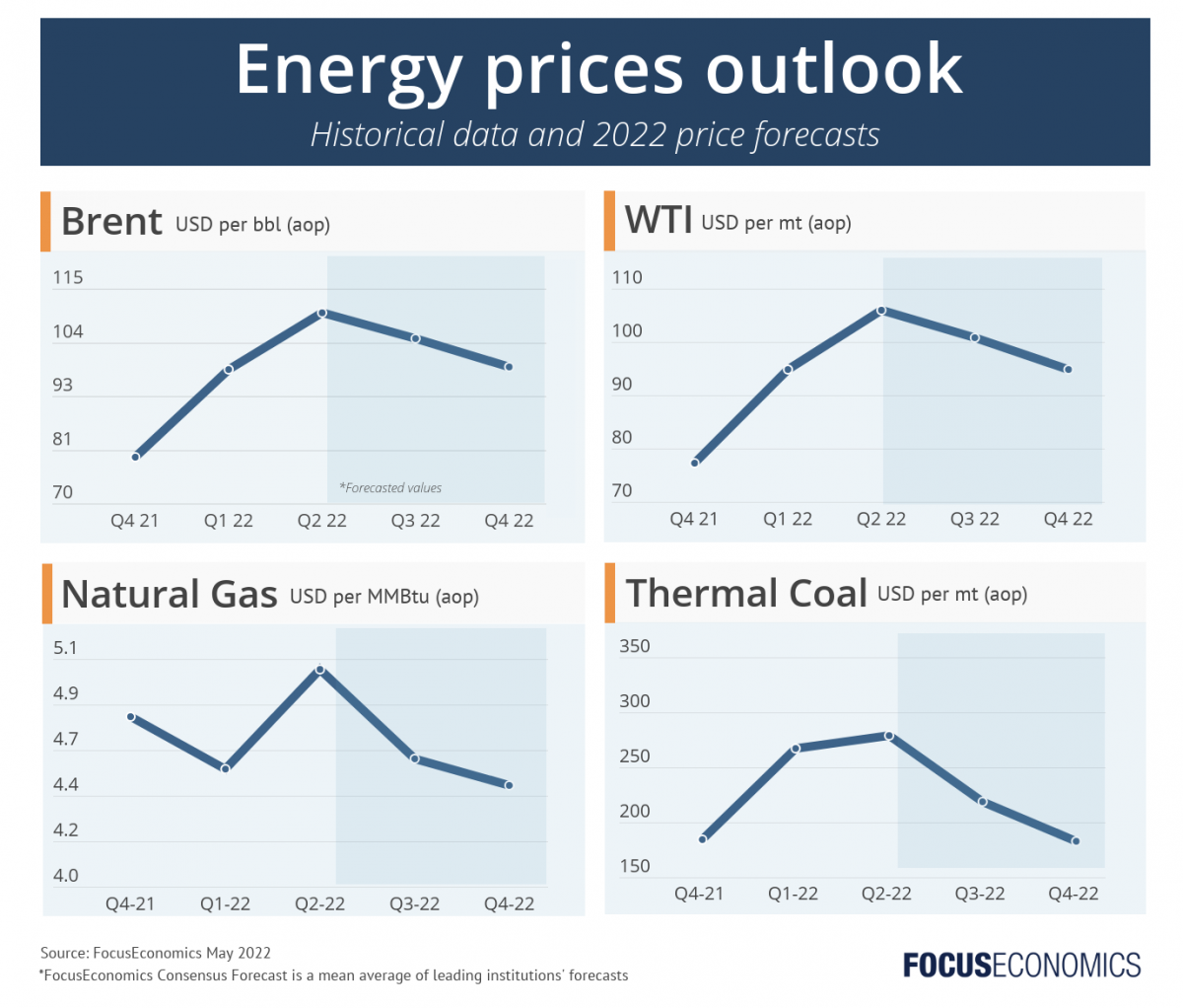 focuseconomics_commodity_energy_prices_may_2022.png