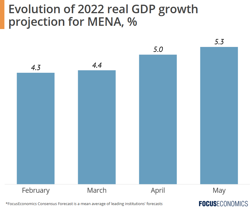 focuseconomics_mena_may_2022_newsletter.png