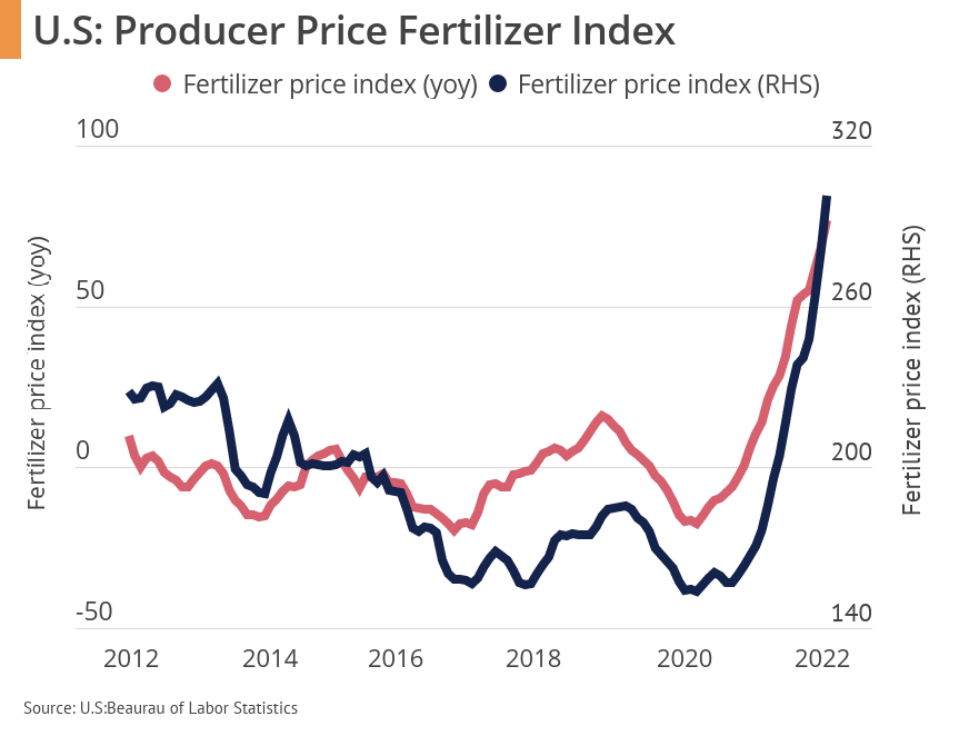 Palm Oil Price: Charts, Forecasts & News - FocusEconomics