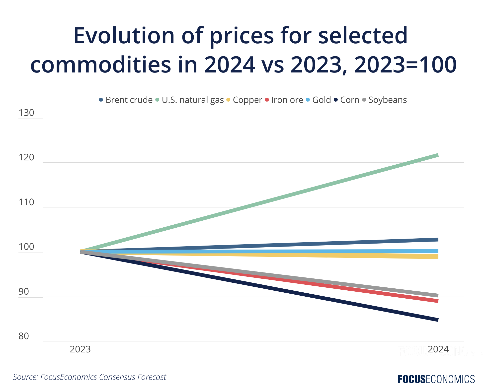 Key Commodity Forecast 2025 Focus Economics